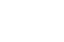 YZ13