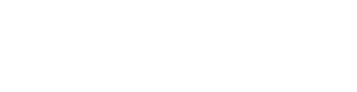 YZ13