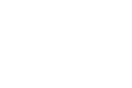 YZ13