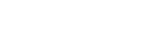 YZ13